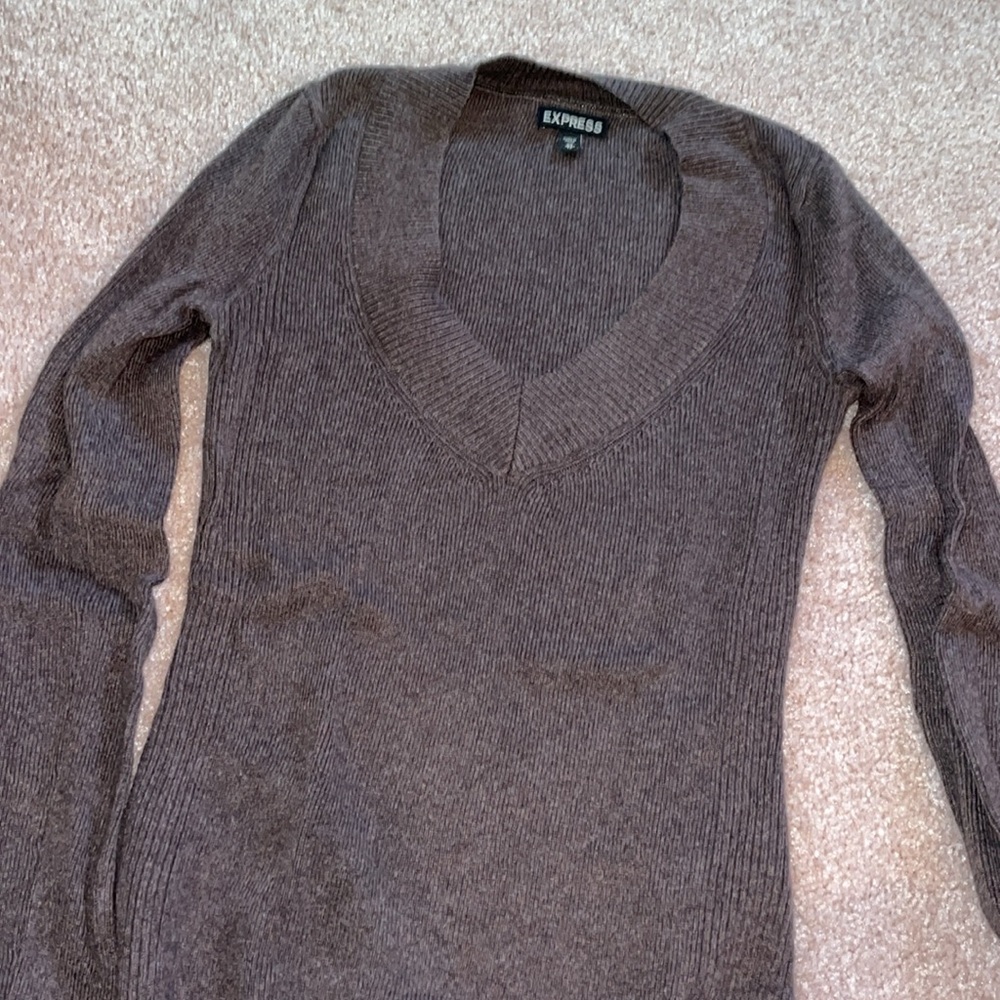 Express Brown V-Neck Sweater